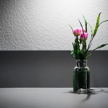 안나 1908