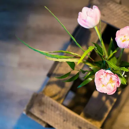 Hotel Anna 1908 Berlim