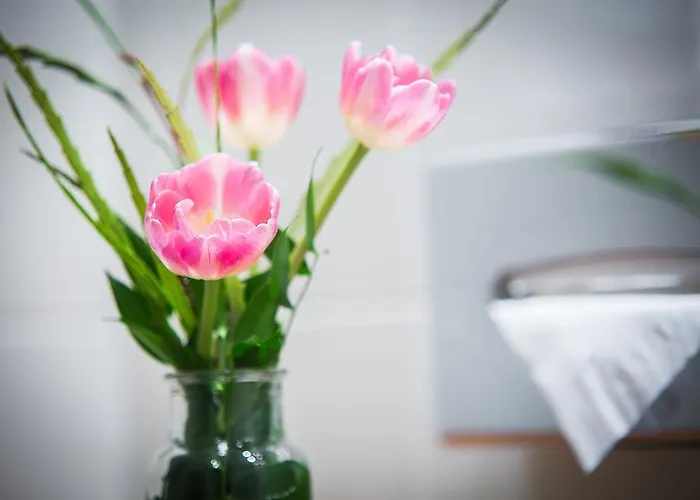 Hotel Anna 1908 Berlin