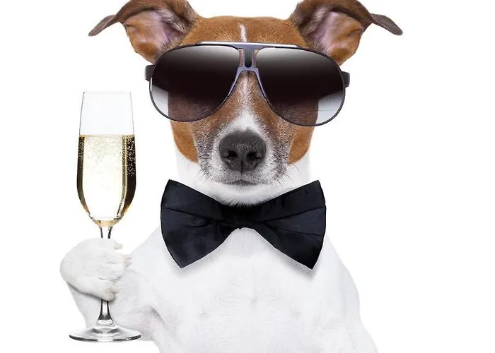 Hotel Anna 1908 Berlin