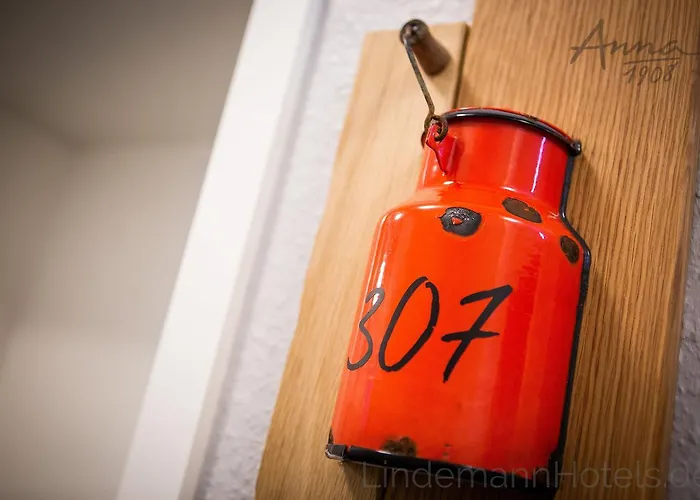 안나 1908 호텔 3*