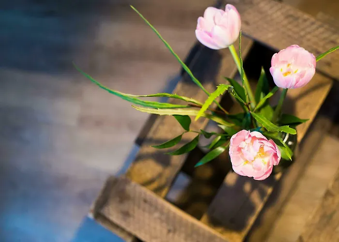 호텔 안나 1908 베를린